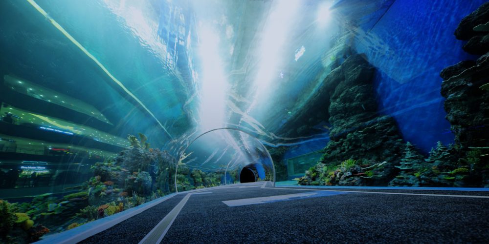 Les acryliques réorganisent les océanariums: les innovations technologiques en haute mer de la Chine