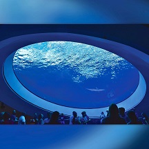 Piscines acryliques: innovation menant la nouvelle tendance dans la construction de la piscine