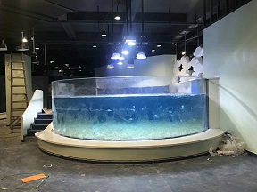 Révolution acrylique: comment notre entreprise transforme les restaurants en espaces d'art léger et ombre