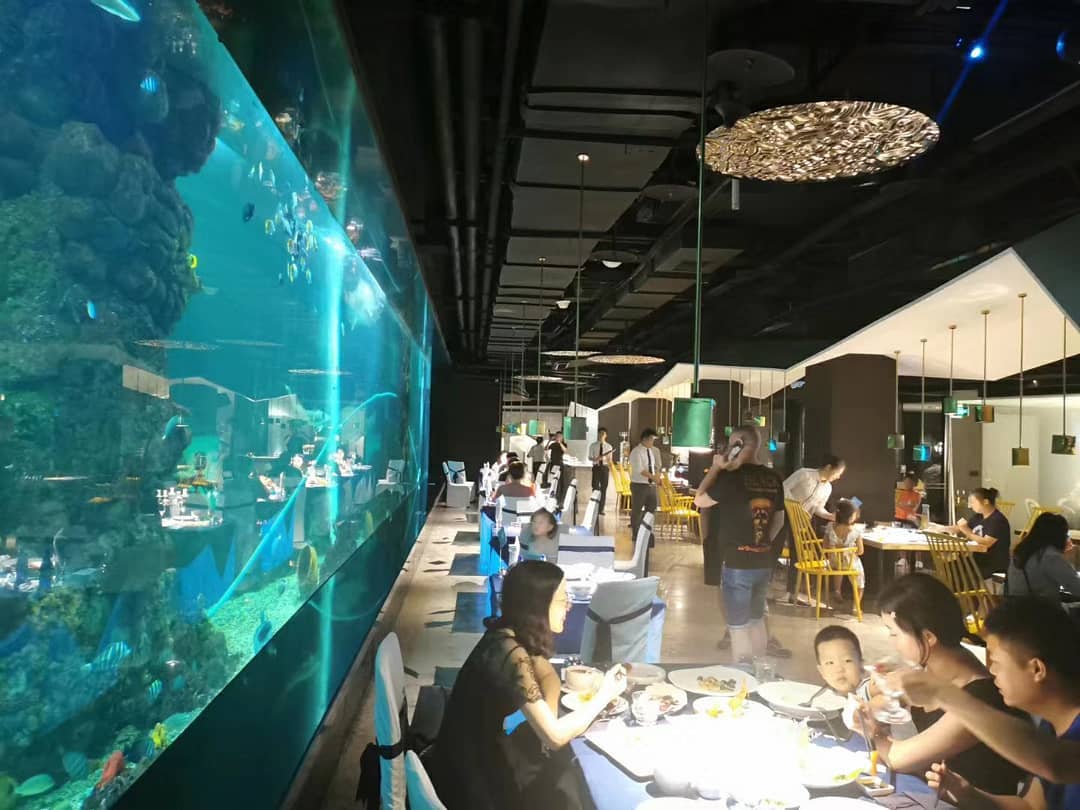 Restaurant aquatique acrylique: un dialogue transparent entre la technologie profonde et l'écologie