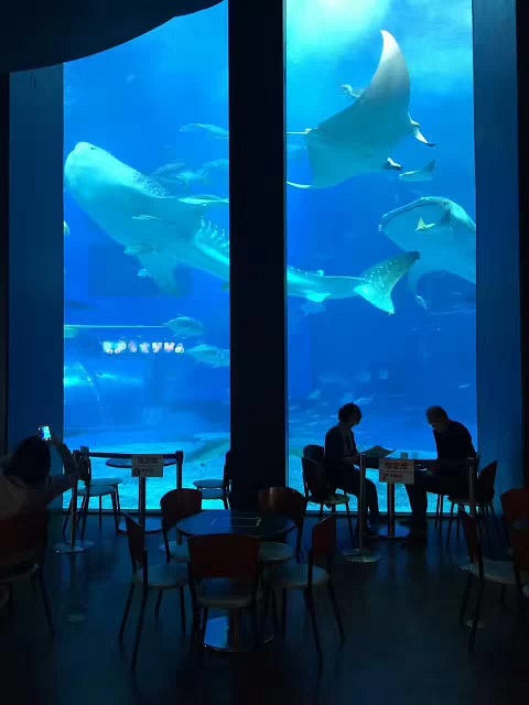 Quels sont les principaux points de conception pour les fenêtres de visualisation d'aquarium?