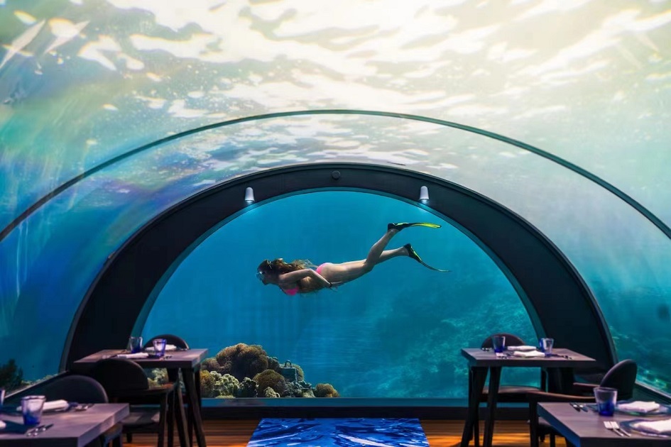 Tunnel d'aquarium