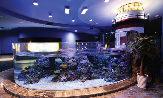 Aquarium en plexiglas